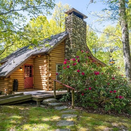 Great Escape Cabin Villa Brevard Exterior photo